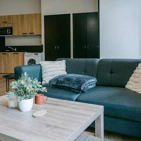 Spacieux T3 En Centre Avec Garage Clos - Calme Et Confort Apartment
