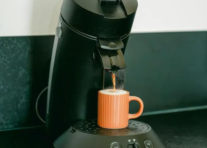 Apartment Spacieux T3 En Centre Avec Garage Clos - Calme Et Confort