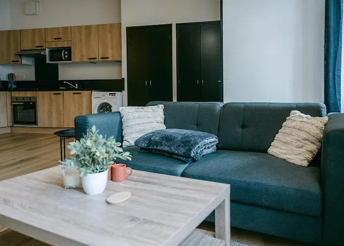 Spacieux T3 En Centre Avec Garage Clos - Calme Et Confort Apartment Rodez